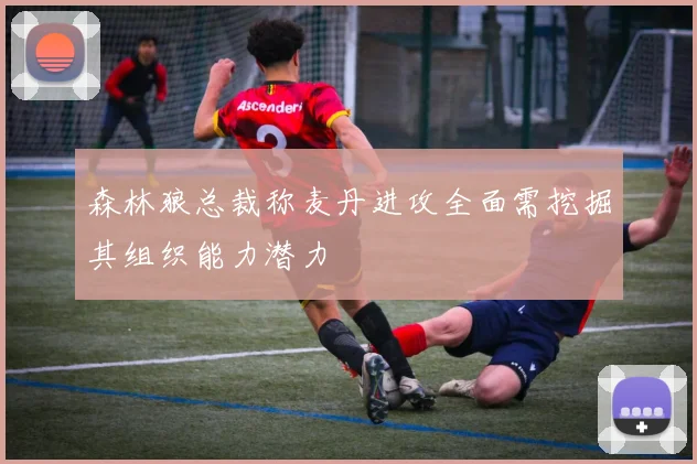 森林狼总裁称麦丹进攻全面需挖掘其组织能力潜力