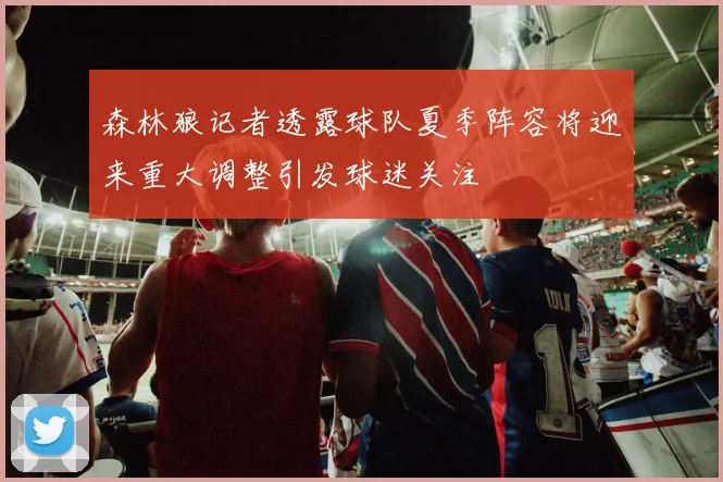 森林狼记者透露球队夏季阵容将迎来重大调整引发球迷关注