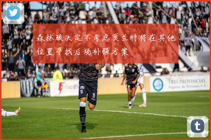 森林狼决定不考虑莫兰特将在其他位置寻找后场补强方案